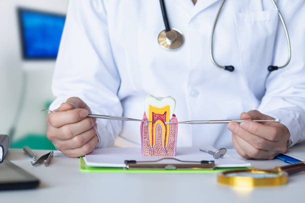 Best Emergency Denture Repair in Naples, TX